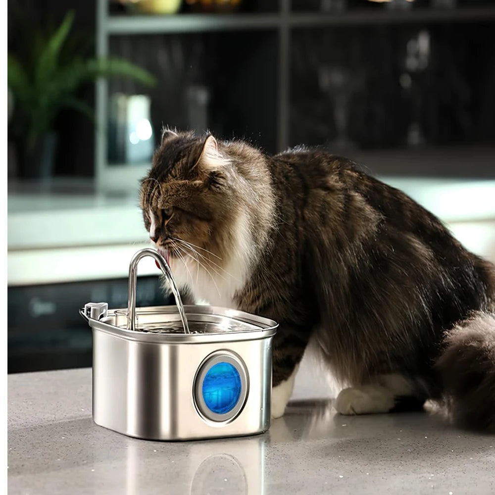 ZYFeeder 2.2L Automatic Cat and Dog Water Fountain Square Stainless Steel Pet Water Feeder Dog Water Fountain with window（No 5V 1A Plug）